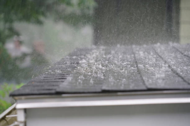 Reliable Warm Mineral Springs, FL Roofing Services Solutions