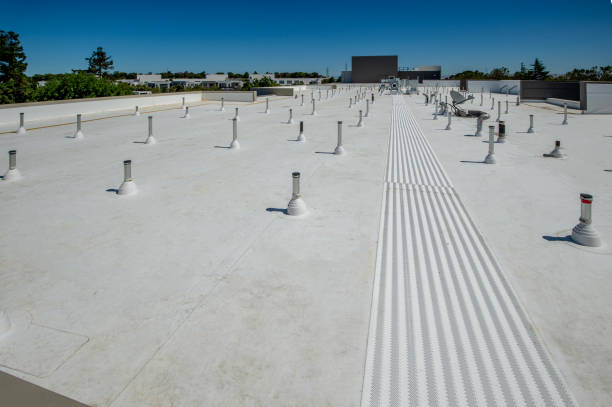 Best Hot Roofs  in Warm Mineral Springs, FL